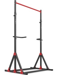 Adjustable Pull-up / Dip Station