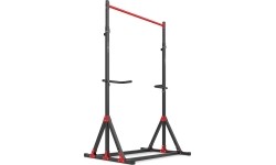 Adjustable Pull-up / Dip Station