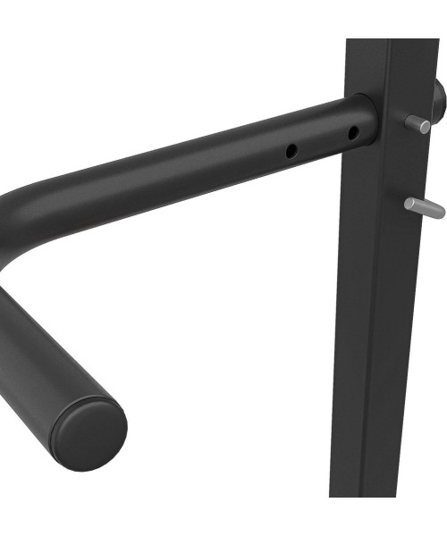 Adjustable Pull-up / Dip Station