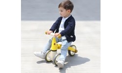Jooksuratas Ecotoys Giraffe
