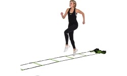 Training Ladder inSPORTline CF080.2