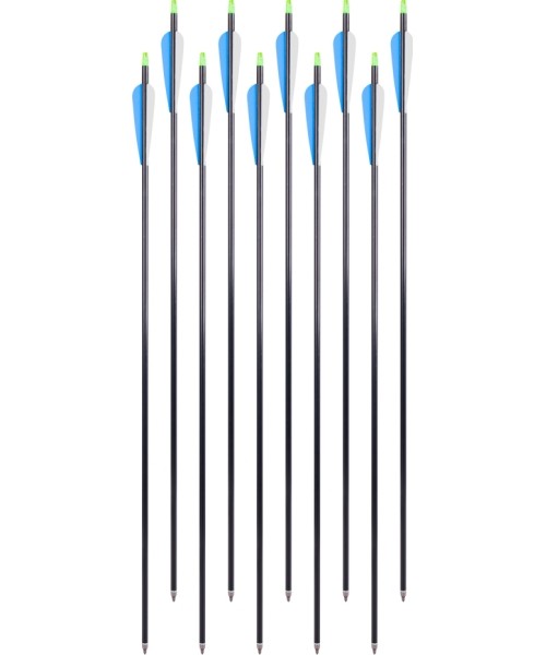 Aluminum Arrows w/ Screw-In Tips inSPORTline Aluson 30”, 10pcs, Blue-White