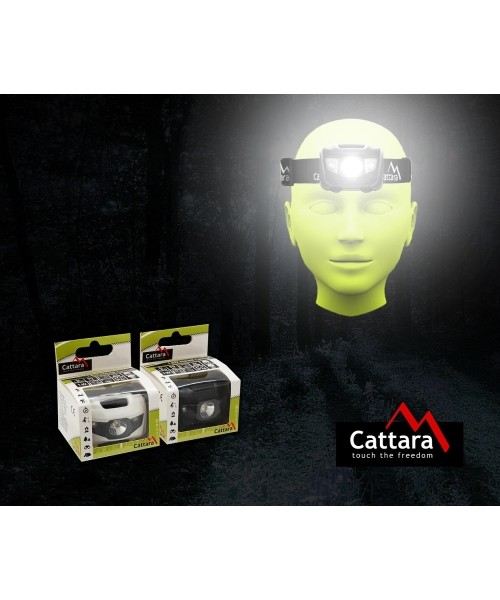 LED pealamp Cattara, must, 80 lm
