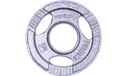 Olympic Steel Plate inSPORTline Hamerton 1.25 kg
