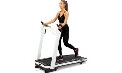 LOOP14  ELECTRIC TREADMILL HMS