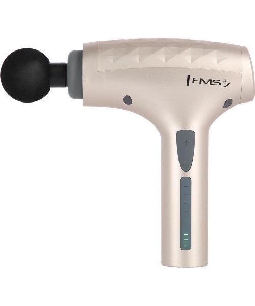 PDM3134I GOLD MASSAGE GUN HMS