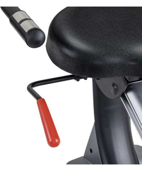 Recumbent inSPORTline Omahan RMB