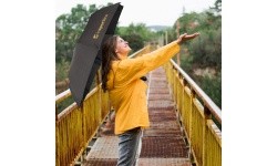 Umbrella inSPORTline II Gold