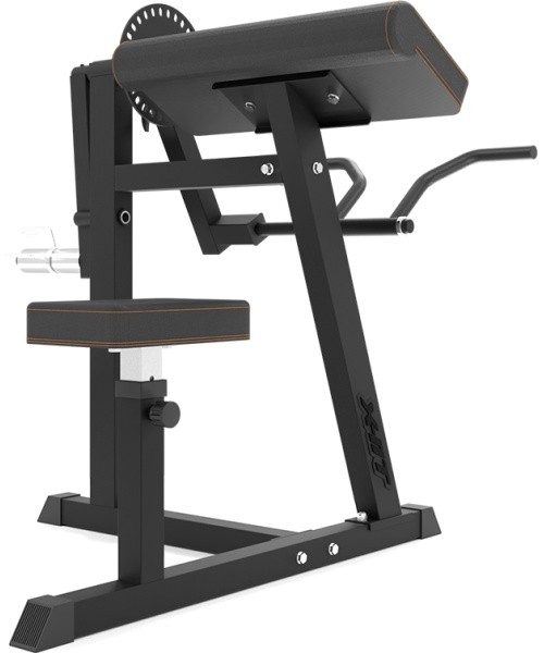 Bicep & Tricep Curl Bench inSPORTline X-NT BT20