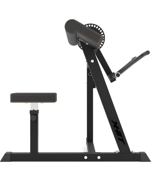 Bicep & Tricep Curl Bench inSPORTline X-NT BT20