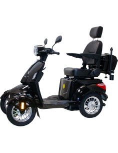 Four-Wheel Electric Scooter inSPORTline Antun - Black