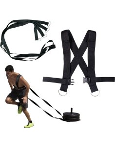 Shoulder Straps for Weight Sled inSPORTline SledMaster