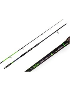 Õng ZFISH Catfish Fighter 2,85 m / 100-300 g