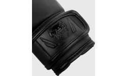 Venum Elite Boxing Gloves Kids - Exclusive - Matte/Black