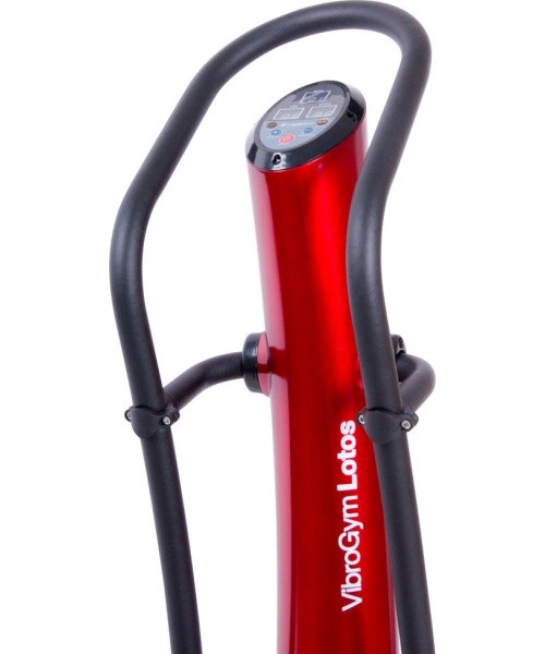 Vibration Platform VibroGym inSPORTline Lotos - Brown