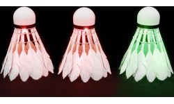 NBL6223 SÜSTIKUKAANED LED 3 TK. NILS