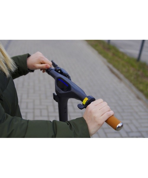 Beaster Scooter BS06BL electric scooter 350 W, 36 V, 8 Ah, black