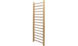 Rehabilitation Single Field Wall-Bar Coma-Sport SD-070-1 – 2,27x0,9m