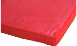TAPIS SCOLAIRE - PVC HOUSSE - AVEC BANDES DE LIAISON - SANS COINS RENFORCÉS - 200 x 100 x 4 cm