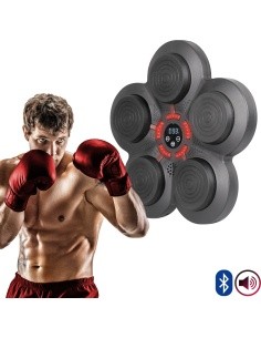 Seinale kinnitatav elektrooniline poksisihtmärk inSPORTline Smartpunch