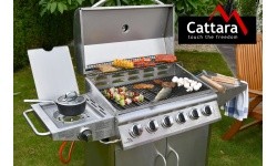 Mobiilne grill Cattara Manhattan