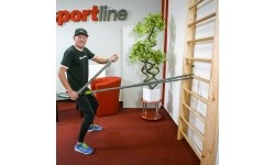 Wall Bars inSPORTline Steadyline 220 x 80 cm