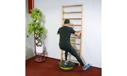 Wall Bars inSPORTline Steadyline 220 x 80 cm