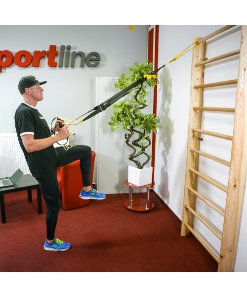Wall Bars inSPORTline Steadyline 220 x 80 cm