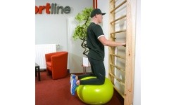 Wall Bars inSPORTline Steadyline 220 x 80 cm
