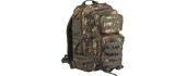 FLECTAR BACKPACK US ASSAULT LARGE