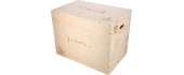DSC01 PLYOMETRIC CHEST HMS