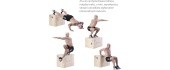 DSC01 PLYOMETRIC CHEST HMS