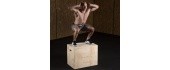 DSC01 PLYOMETRIC CHEST HMS