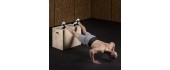 DSC01 PLYOMETRIC CHEST HMS