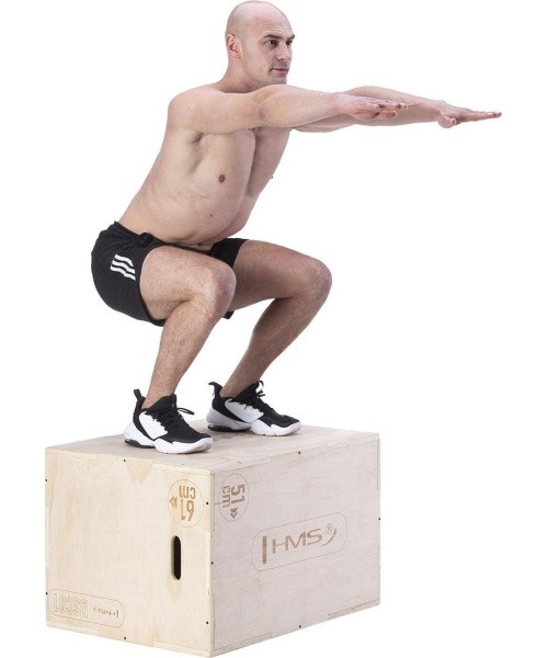 DSC01 PLYOMETRIC CHEST HMS