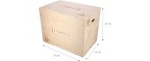 DSC01 PLYOMETRIC CHEST HMS
