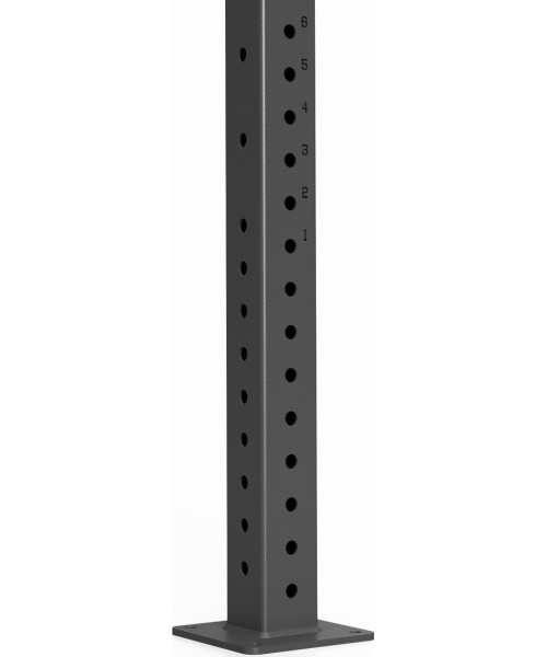 Rig Gate for Crossfit Marbo MFT-RIG-04 