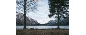 Hammock Amazonas Paradiso Silver