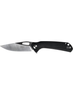 Folding Knife Ganzo Firebird FH921-BK