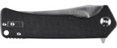 Folding Knife Ganzo Firebird FH923-BK