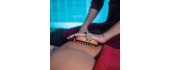 Wooden Massage Brush inSPORTline Peaters