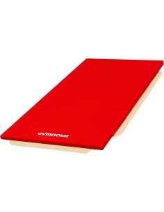 SET OF 5 MATS FOR SCHOOL REF. 6050 - PVC COVER - WITH ATTACHMENT STRIPS - WITHOUT REINFORCED CORNERS - 200 x 100 x 5 cm