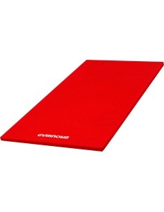 MAT FOR SCHOOL - PVC COVER - WITH ATTACHMENT STRIPS - WITHOUT REINFORCED CORNERS - 200 x 100 x 5 cm
