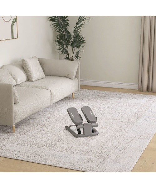 Mini Stepper inSPORTline Movix