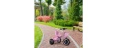 Tricycle tricycle non-slip handles bell basket pink ECOTOYS