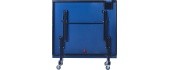 Table Tennis Table inSPORTline Gosimo