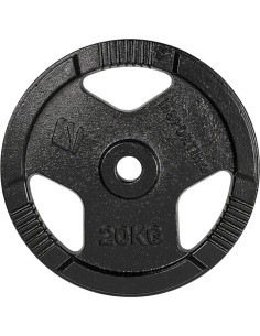 Malmist raskusketas inSPORTline Hamerton Black 20 kg, 30 mm