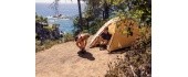 Co Tent 'Darwin Summer'
