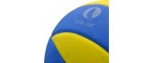 volleyball eva