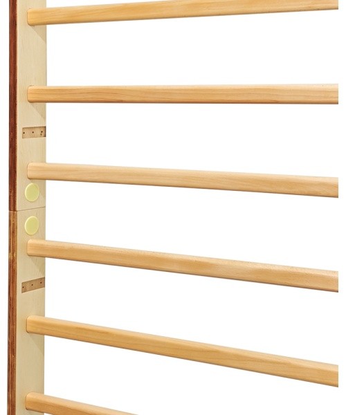 Wall Bars inSPORTline Shapemar 220 x 90 cm
